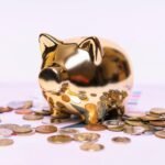 iniciante aprendendo controle financeiro com planilhas