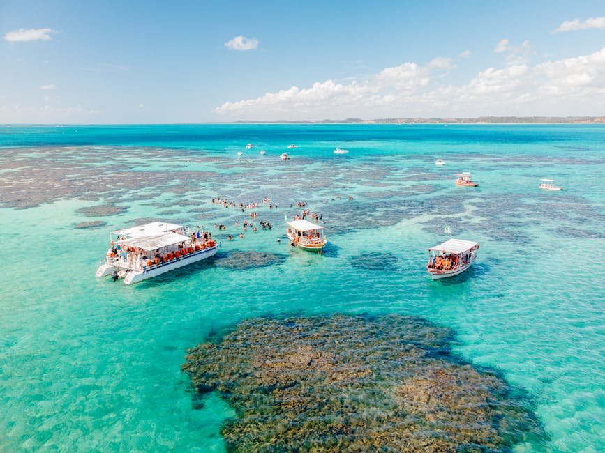 quanto custa viajar para Maragogi - piscinas naturais com água turquesa