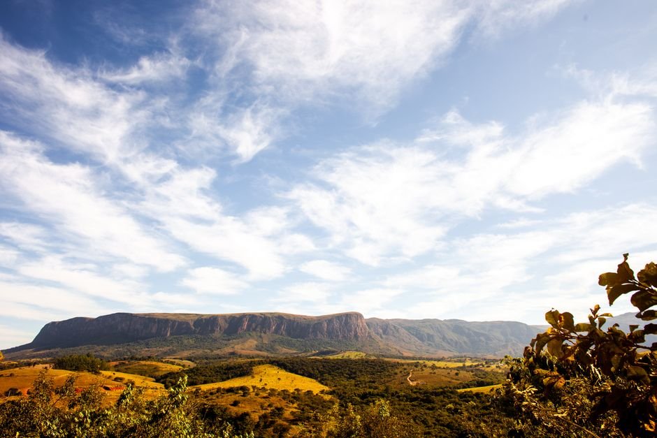 Trilha na Chapada dos Veadeiros com vegetação do cerrado